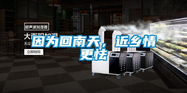 因为回南天，近乡情更怯