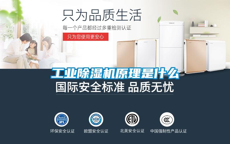 工业草莓视频APP在线观看原理是什么