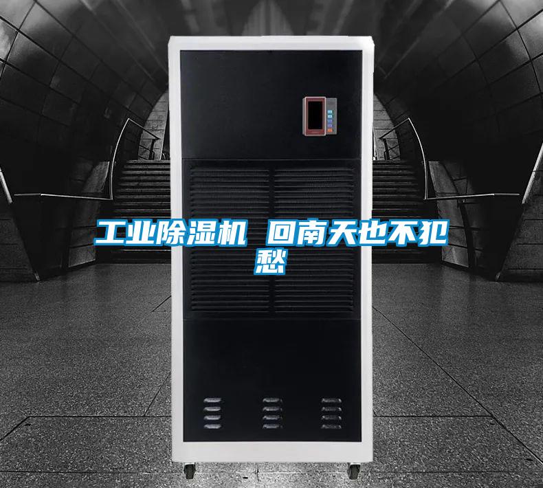 工业草莓视频APP在线观看 回南天也不犯愁