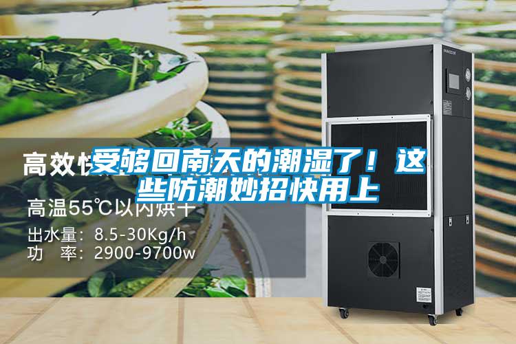 受够回南天的潮湿了！这些防潮妙招快用上