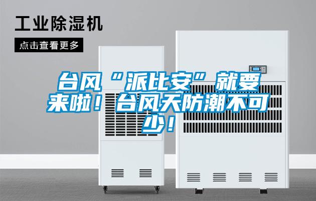台风“派比安”就要来啦！台风天防潮不可少！