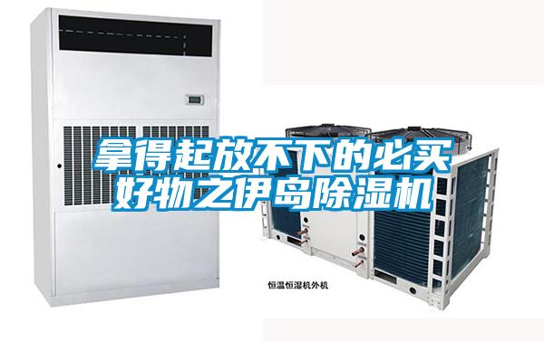 拿得起放不下的必买好物之伊岛草莓视频APP在线观看