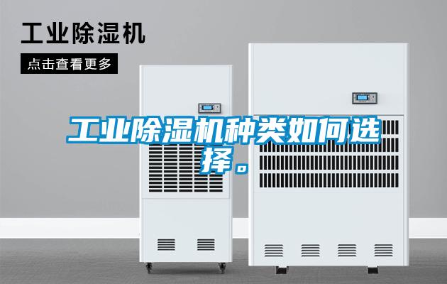工业草莓视频APP在线观看种类如何选择。