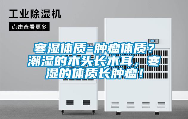 寒湿体质=肿瘤体质？潮湿的木头长木耳，寒湿的体质长肿瘤！