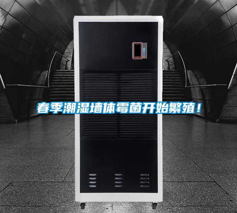 春季潮湿墙体霉菌开始繁殖！