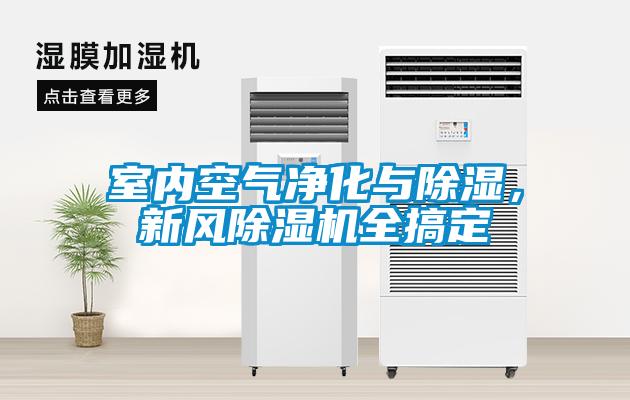 室内空气净化与除湿，新风草莓视频APP在线观看全搞定