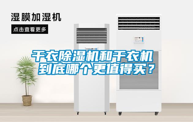 干衣草莓视频APP在线观看和干衣机 到底哪个更值得买？