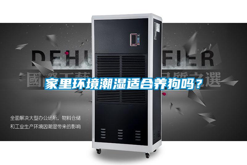 家里环境潮湿适合养狗吗？