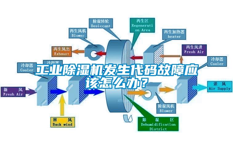 工业草莓视频APP在线观看发生代码故障应该怎么办？