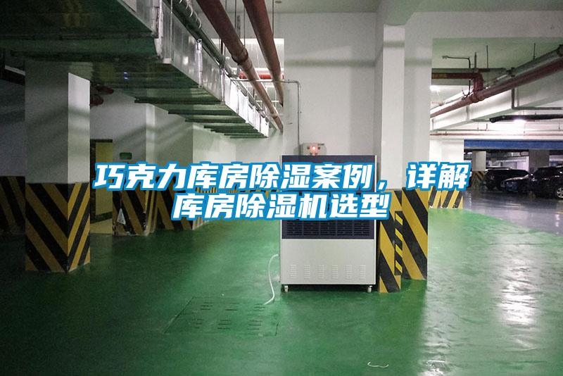 巧克力库房除湿案例，详解库房草莓视频APP在线观看选型