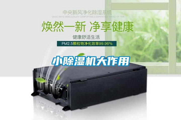 小草莓视频APP在线观看大作用