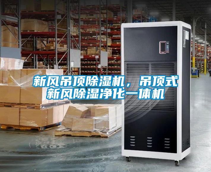 新风吊顶草莓视频APP在线观看，吊顶式新风除湿净化一体机