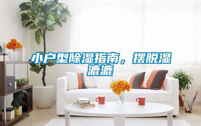 小户型除湿指南，摆脱湿漉漉