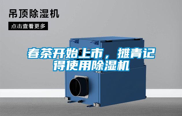 春茶开始上市，摊青记得使用草莓视频APP在线观看