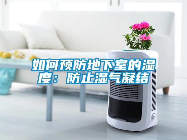 如何预防地下室的湿度：防止湿气凝结