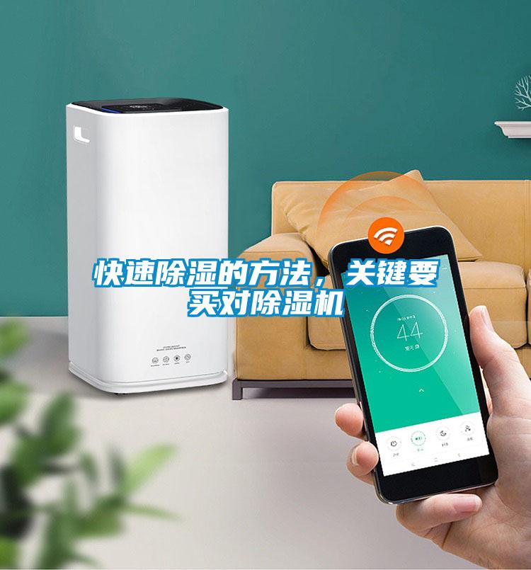 快速除湿的方法，关键要买对草莓视频APP在线观看