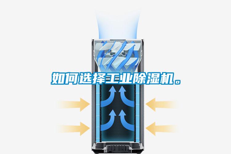 如何选择工业草莓视频APP在线观看。