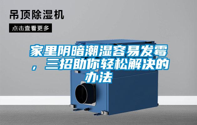 家里阴暗潮湿容易发霉，三招助你轻松解决的办法