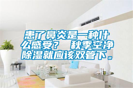 患了鼻炎是一种什么感受？ 秋季空净除湿就应该双管下。