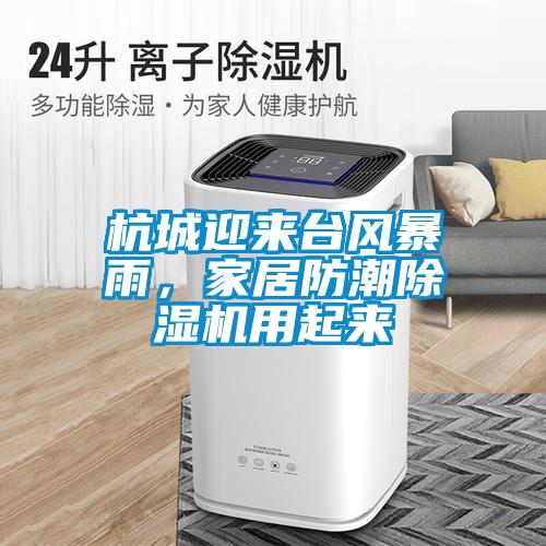 杭城迎来台风暴雨，家居防潮草莓视频APP在线观看用起来