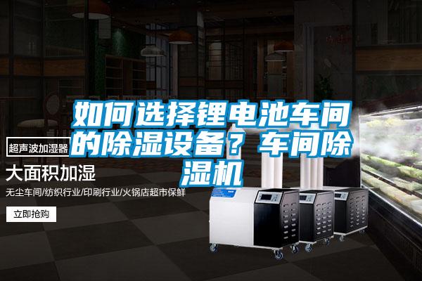 如何选择锂电池车间的除湿设备？车间草莓视频APP在线观看