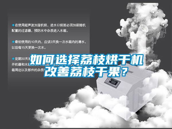 如何选择荔枝烘干机改善荔枝干果？