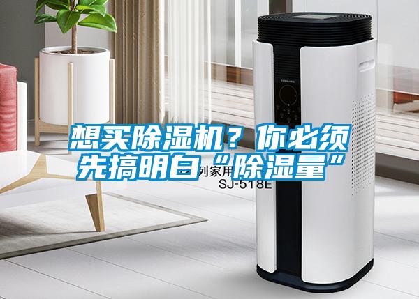 想买草莓视频APP在线观看？你必须先搞明白“除湿量”