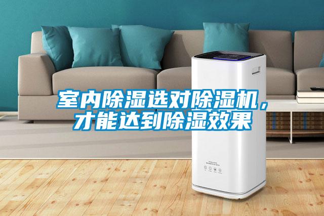 室内除湿选对草莓视频APP在线观看，才能达到除湿效果