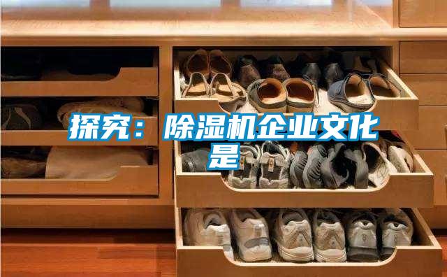 探究：草莓视频APP在线观看企业文化是