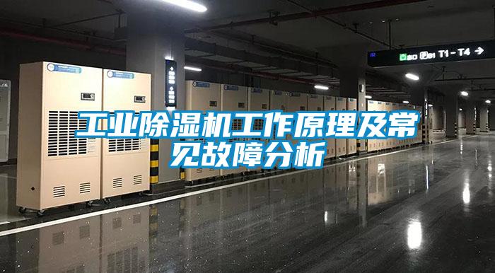 工业草莓视频APP在线观看工作原理及常见故障分析