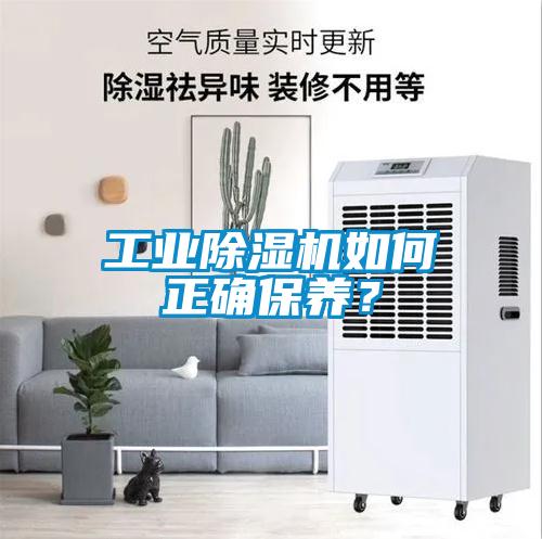 工业草莓视频APP在线观看如何正确保养？