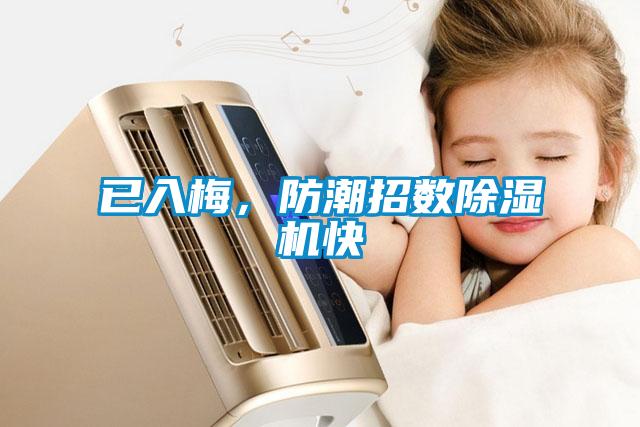 已入梅，防潮招数草莓视频APP在线观看快