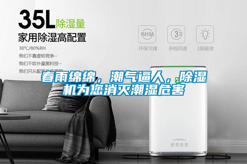 春雨绵绵，潮气逼人，草莓视频APP在线观看为您消灭潮湿危害
