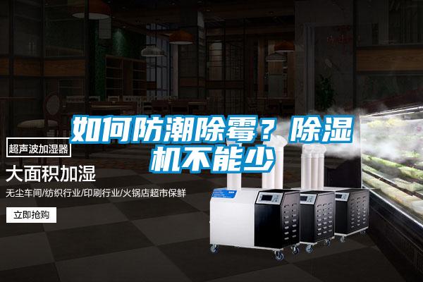如何防潮除霉？草莓视频APP在线观看不能少