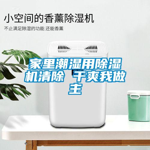 家里潮湿用草莓视频APP在线观看清除 干爽我做主