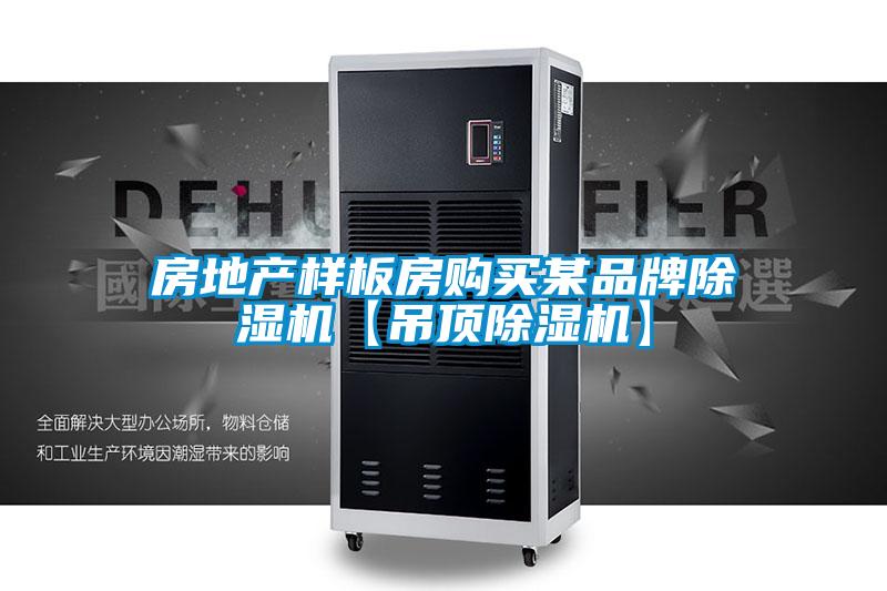 房地产样板房购买某品牌草莓视频APP在线观看【吊顶草莓视频APP在线观看】