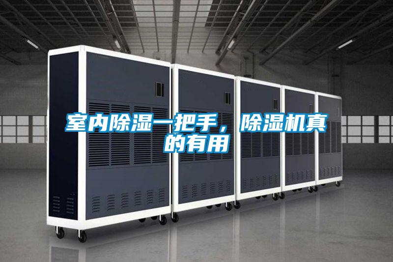 室内除湿一把手，草莓视频APP在线观看真的有用