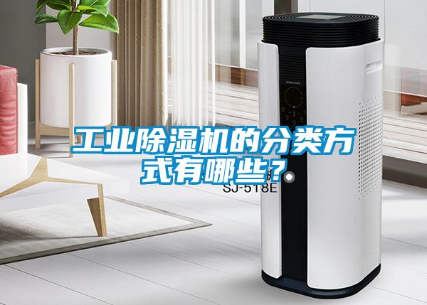 工业草莓视频APP在线观看的分类方式有哪些？