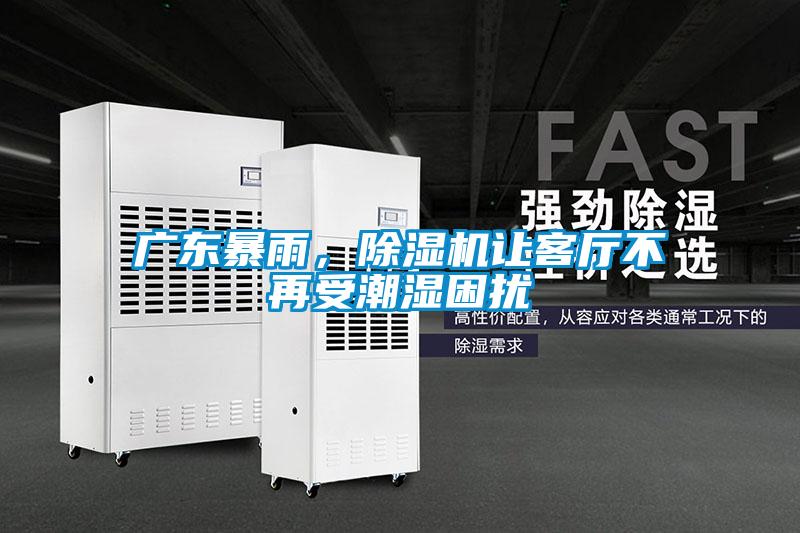 广东暴雨，草莓视频APP在线观看让客厅不再受潮湿困扰