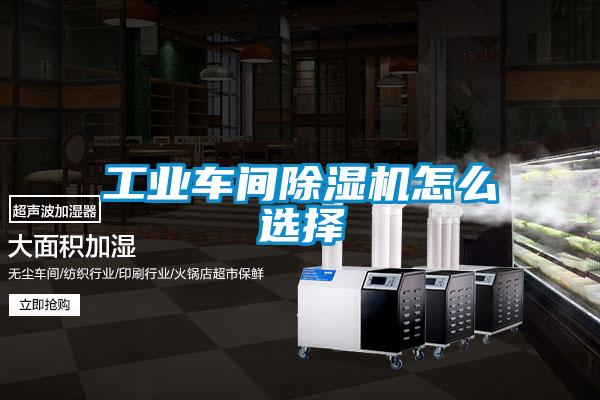 工业车间草莓视频APP在线观看怎么选择