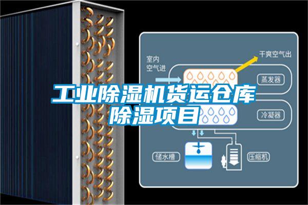 工业草莓视频APP在线观看货运仓库除湿项目