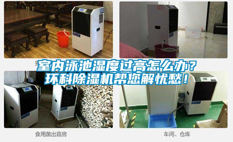 室内泳池湿度过高怎么办？环科草莓视频APP在线观看帮您解忧愁！