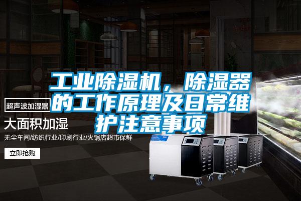 工业草莓视频APP在线观看，除湿器的工作原理及日常维护注意事项