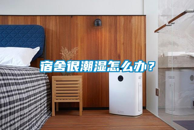 宿舍很潮湿怎么办？