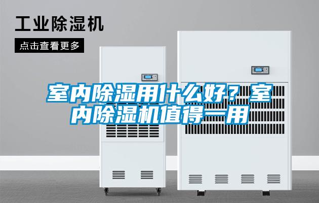 室内除湿用什么好？室内草莓视频APP在线观看值得一用