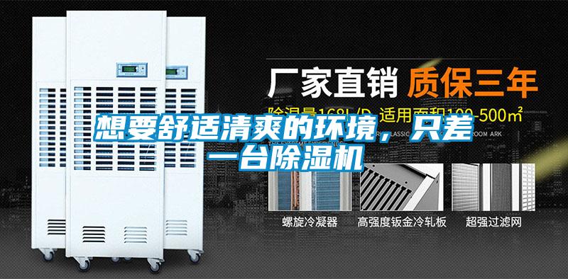 想要舒适清爽的环境，只差一台草莓视频APP在线观看