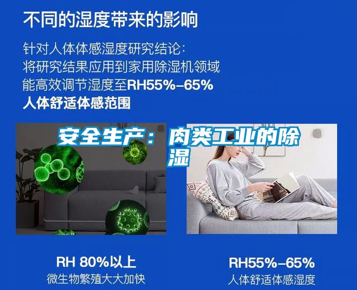 安全生产：肉类工业的除湿