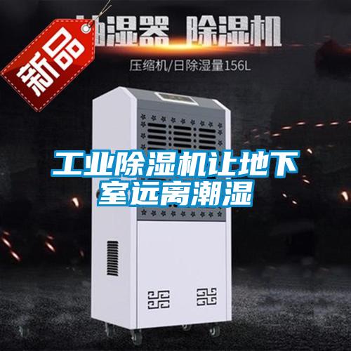 工业草莓视频APP在线观看让地下室远离潮湿