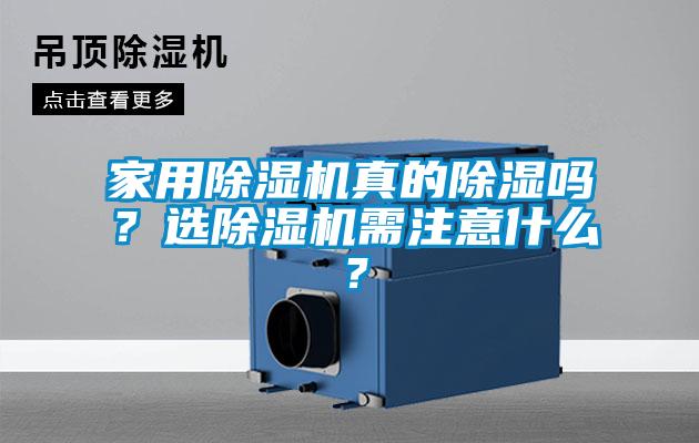 家用草莓视频APP在线观看真的除湿吗？选草莓视频APP在线观看需注意什么？