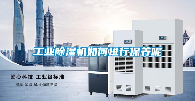 工业草莓视频APP在线观看如何进行保养呢